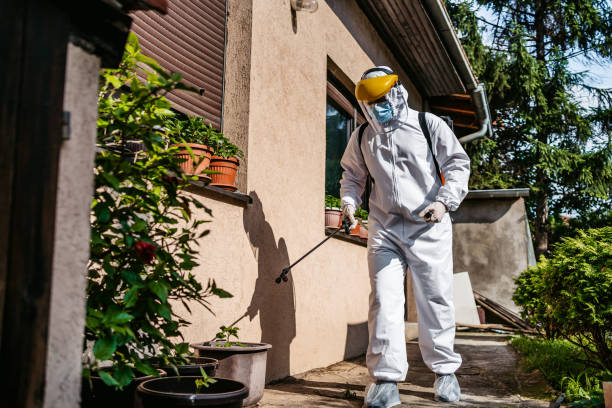 Best Termite Control Services  in Versailles, PA