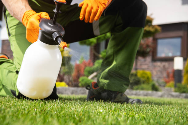 Best Wasp Removal Services  in Versailles, PA