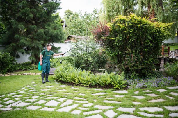 Best Pest Removal Services  in Versailles, PA
