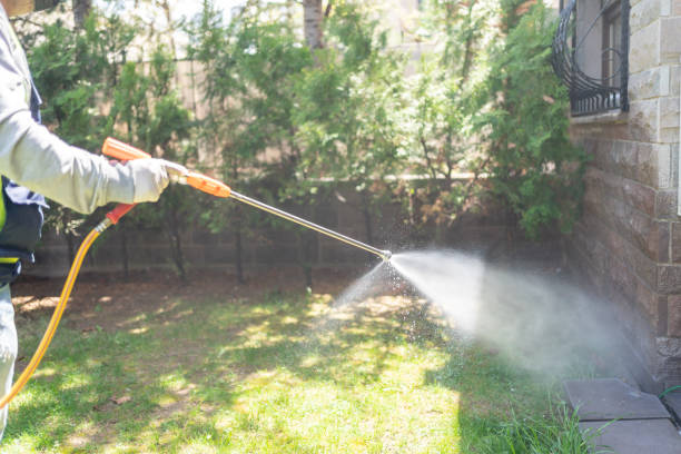 Best Mosquito Control Services  in Versailles, PA