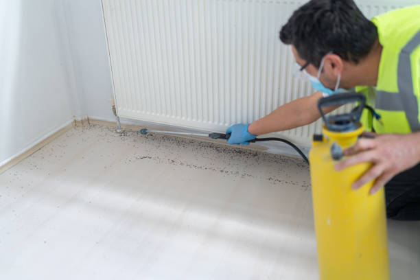 Best Affordable Pest Control Services  in Versailles, PA