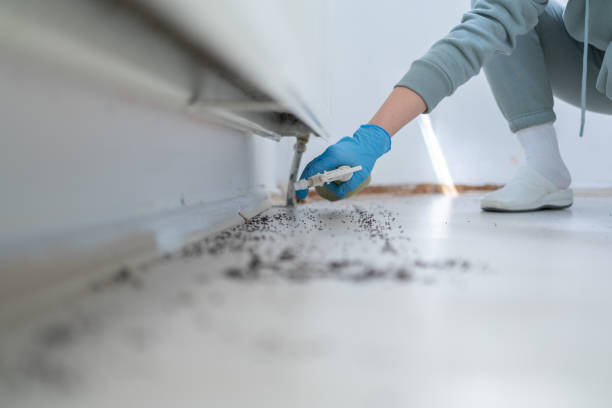 Best Affordable Pest Control Services  in Versailles, PA